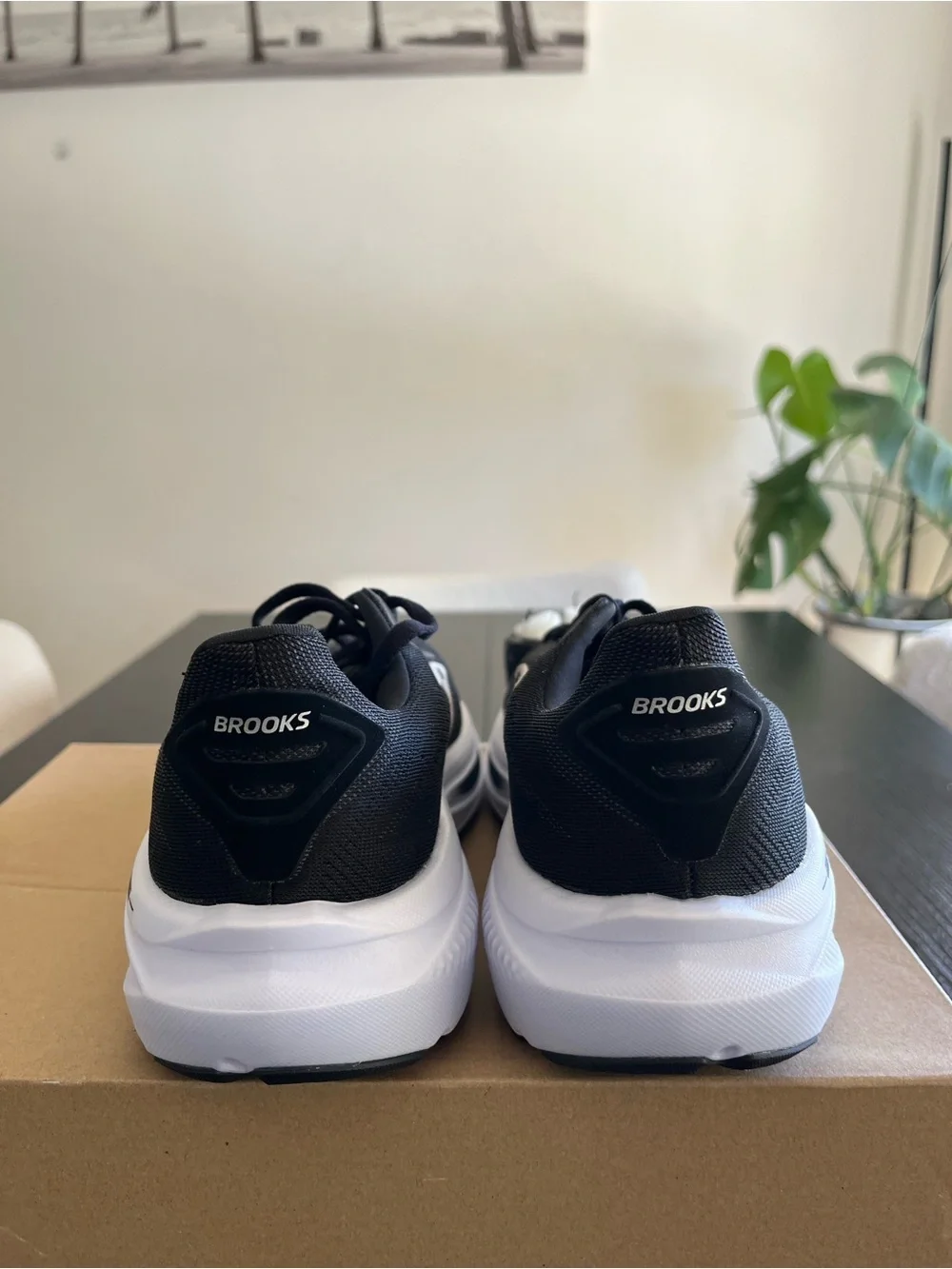 Brooks Black & White Ghost Running Shoes